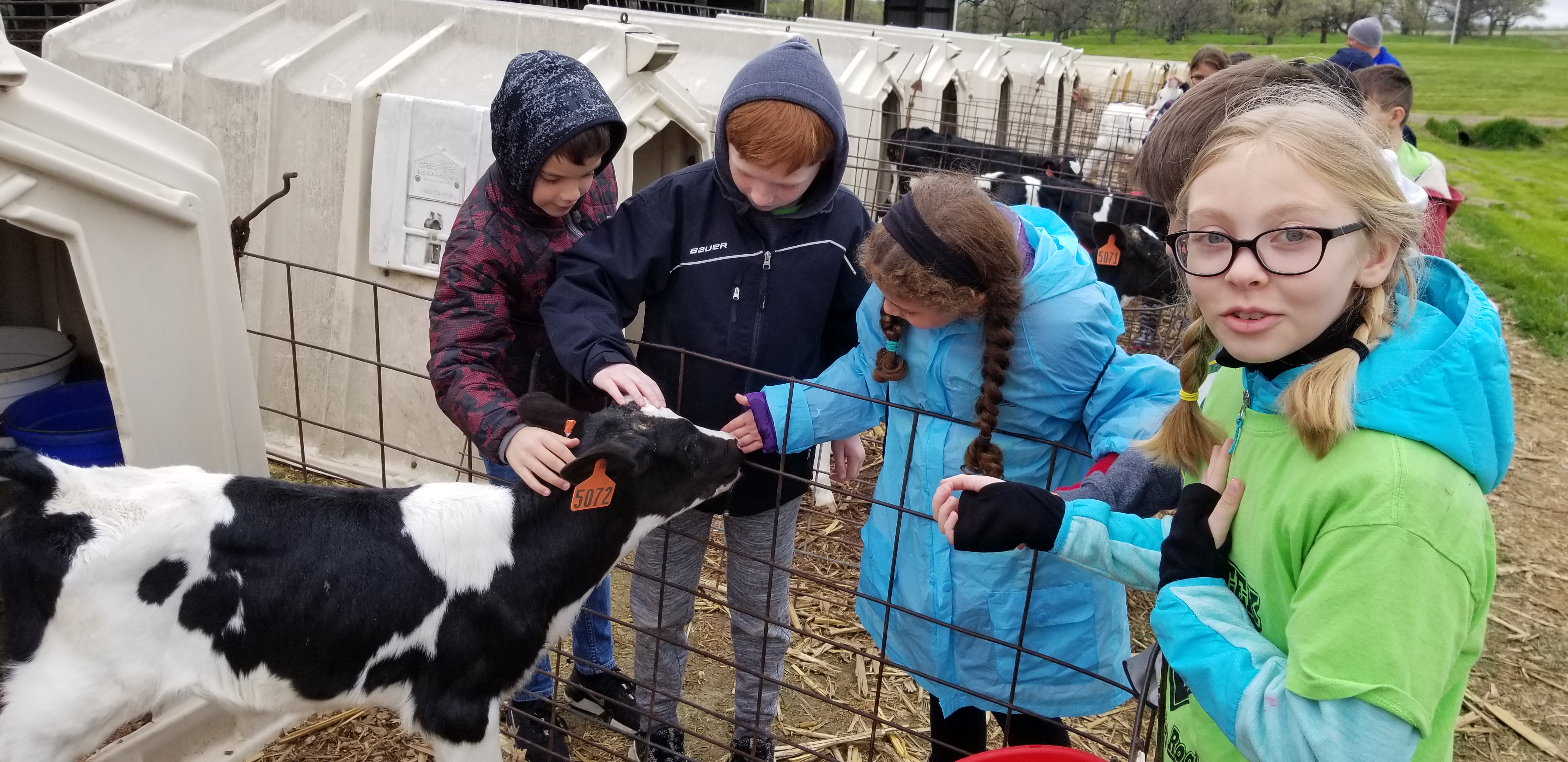 Students enjoying a farm field trip