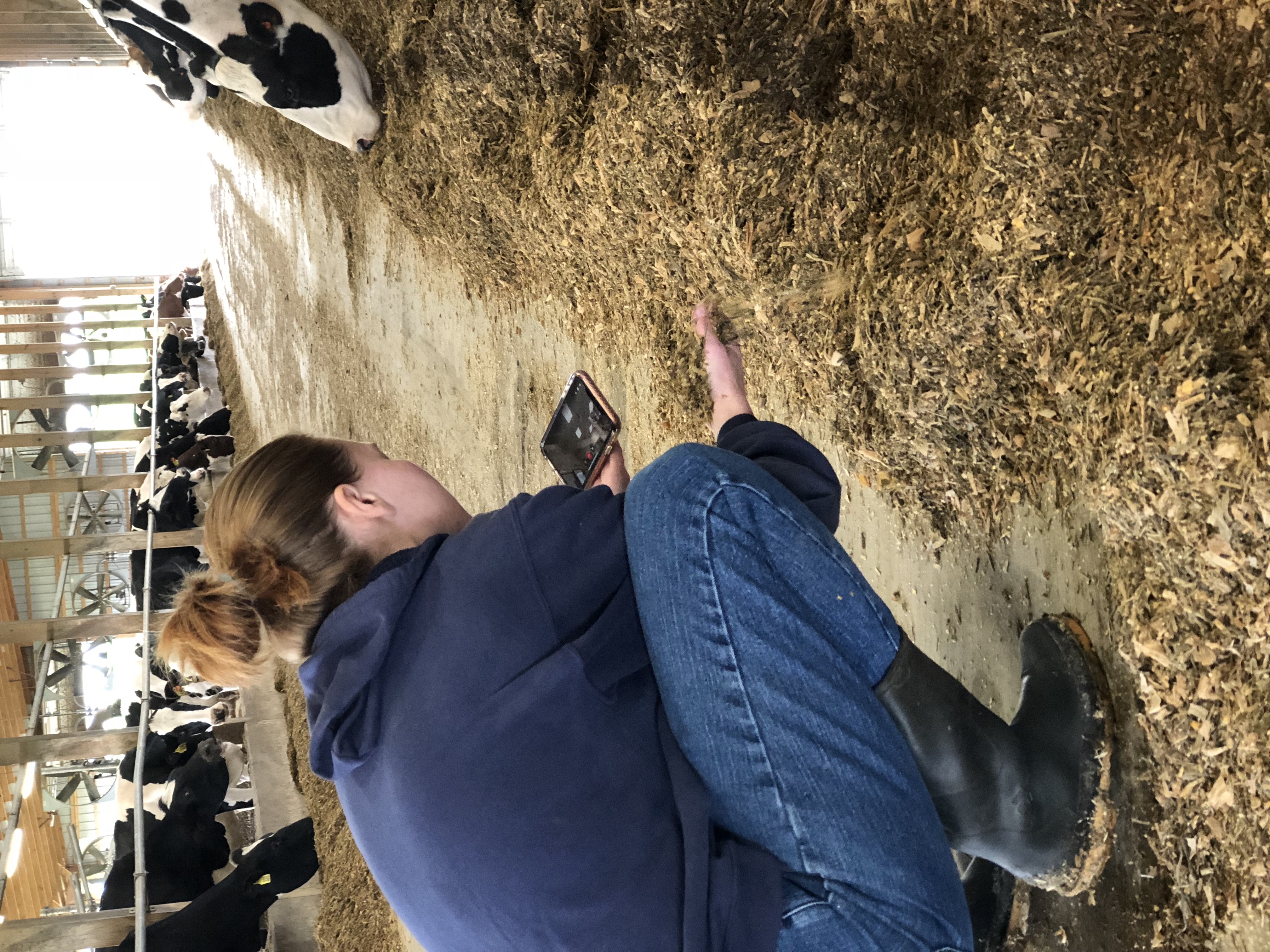 “Adopt a Cow” Program Gives Students an Inside Look at Dairy Farming