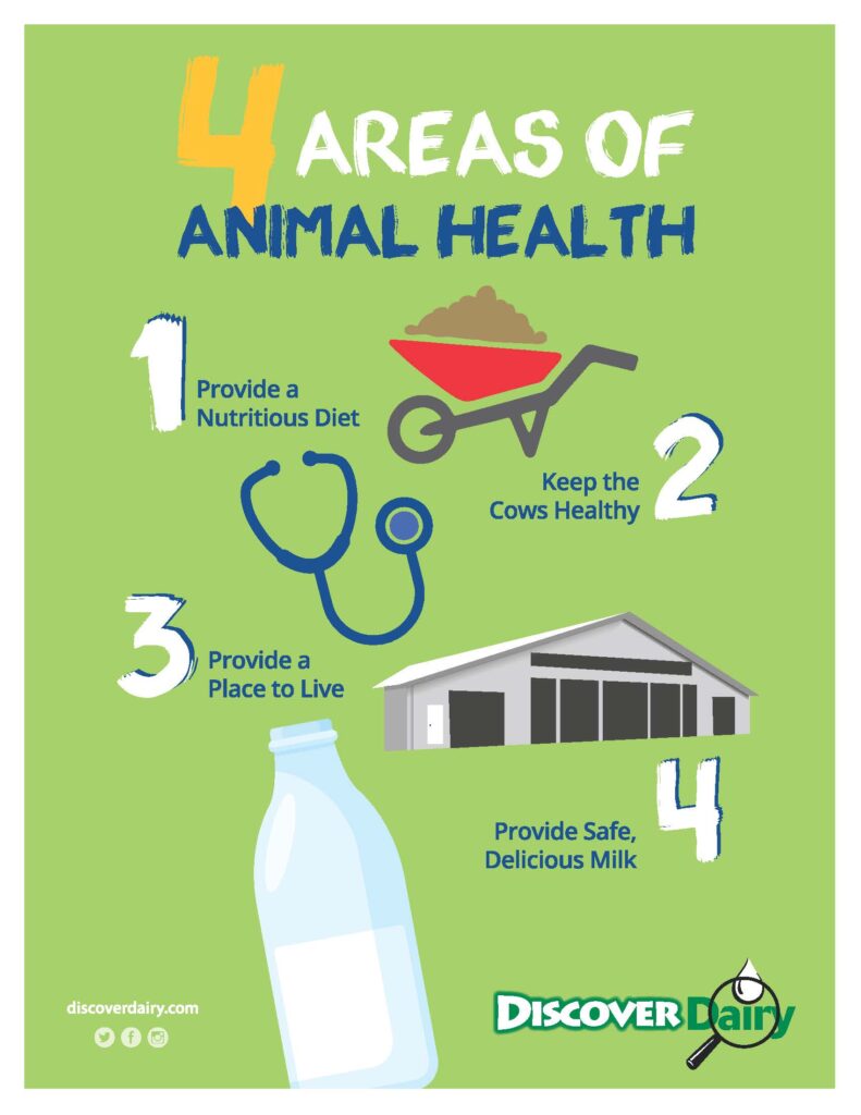 4 Areas of Animal Health