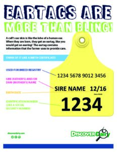 Eartags Are More Than Bling