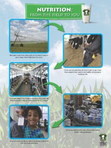 Nutrition-From-the-Field-to-You
