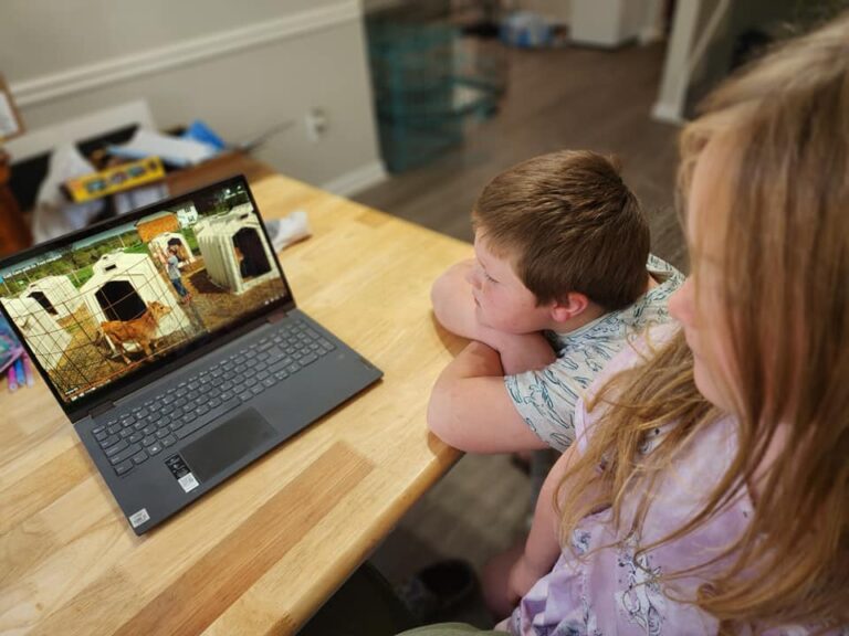 Discover Dairy Activities Help HomeSchool Students Build Greater